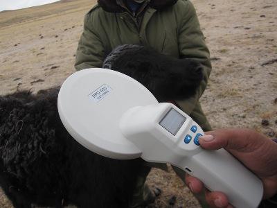 圖5 芯片成功掃描，芯片植入成功